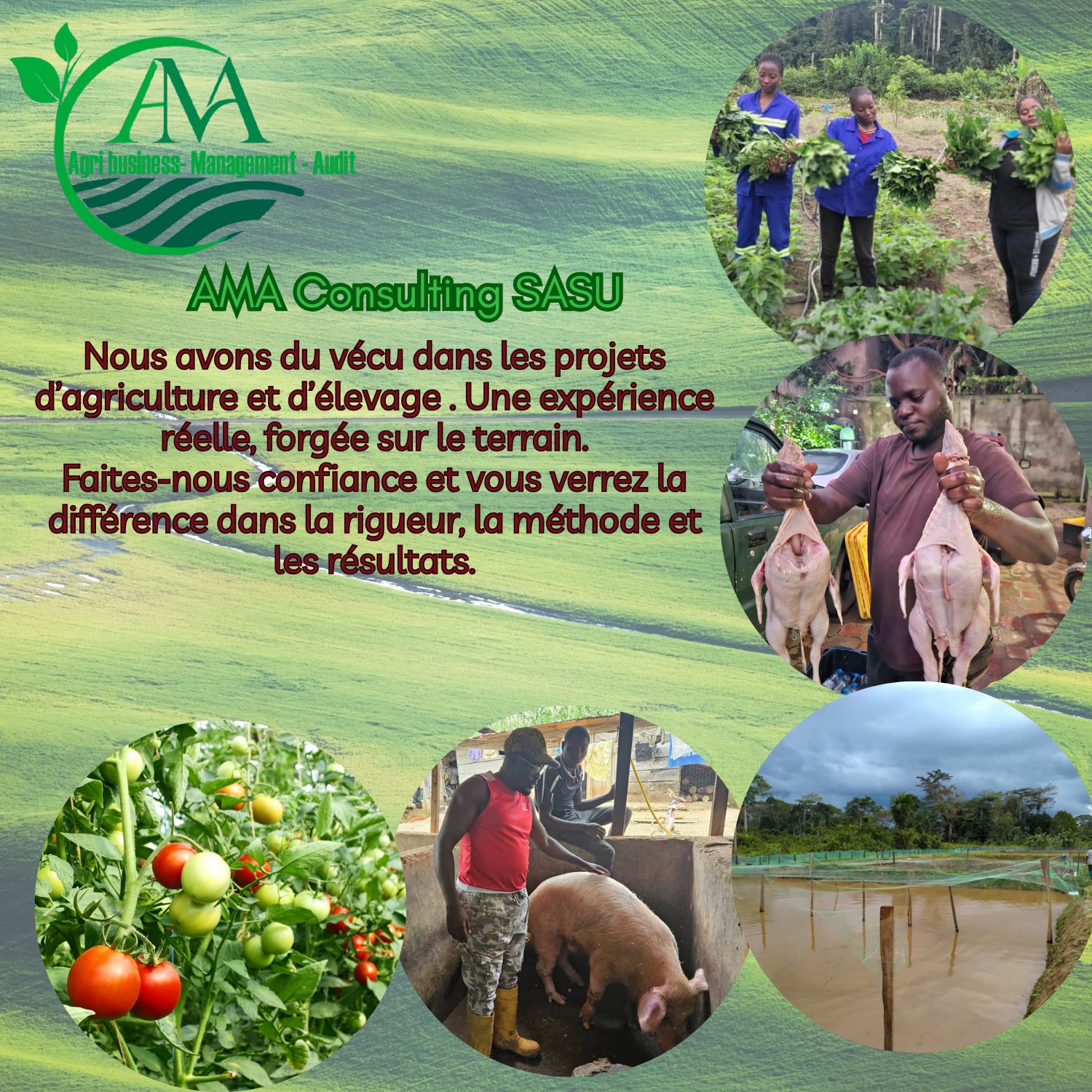 Développement Agro-pastoral