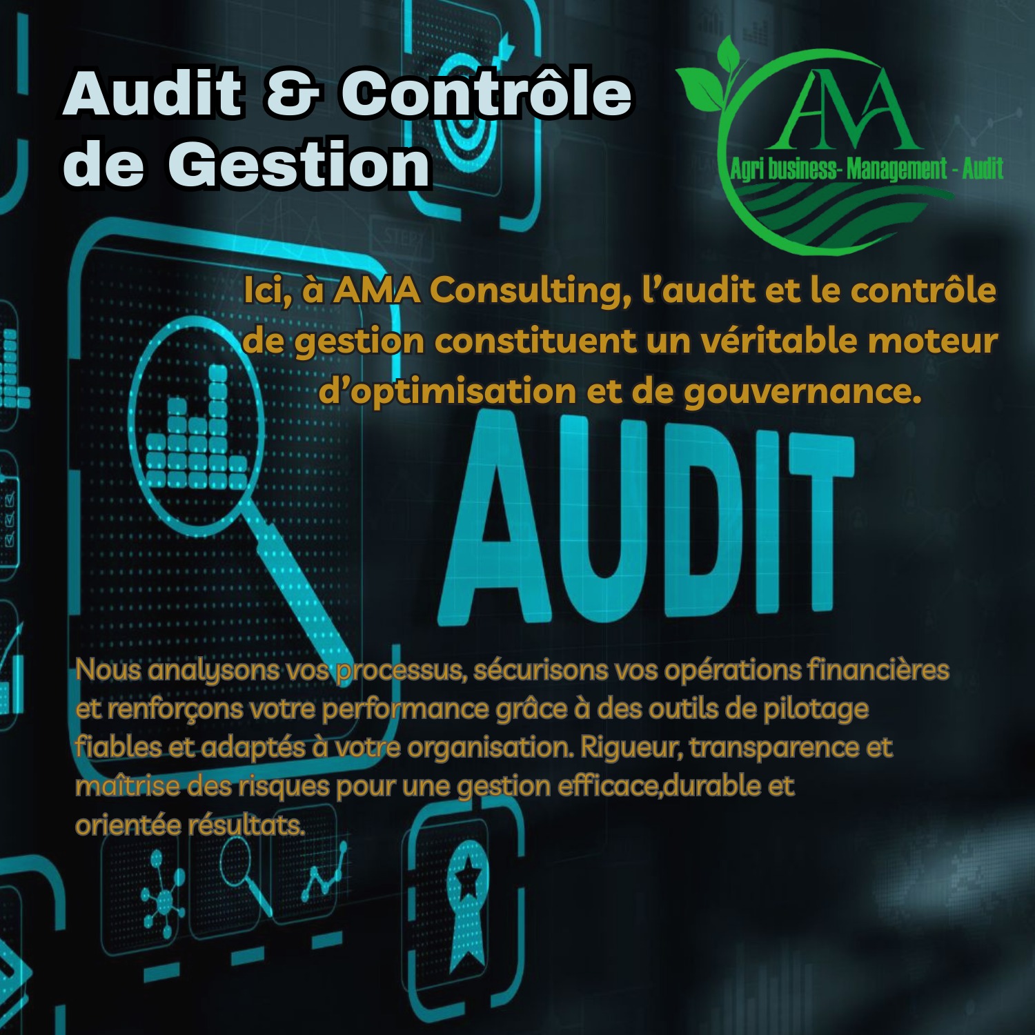 Audit et Contrôle de Gestion