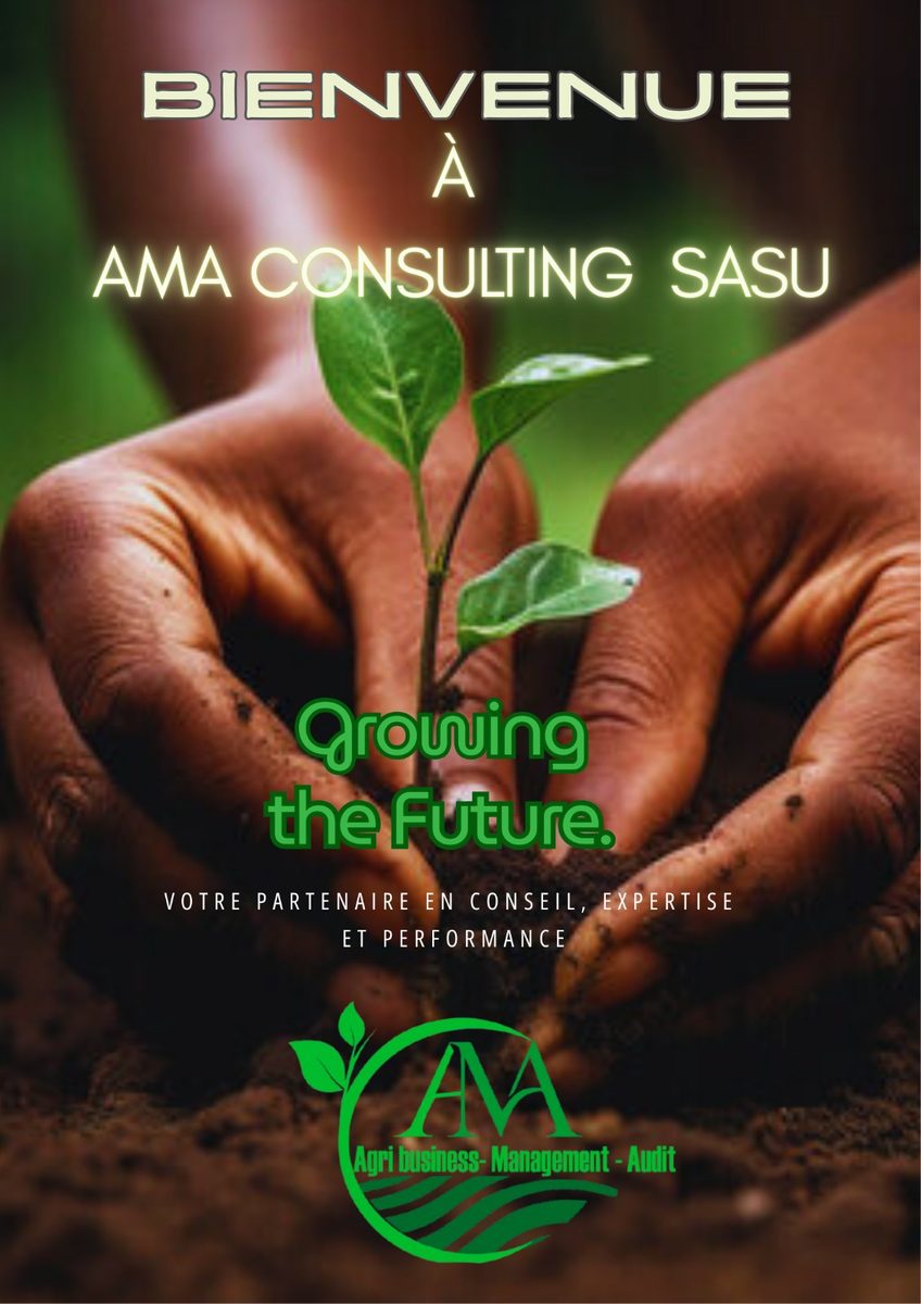 Import-Export et Commerce